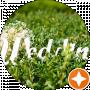 Юлія Мальована