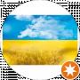 Макс Житомирський