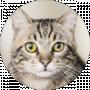 Elena Cats