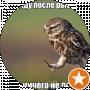 Ярослав К