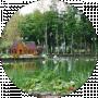 User 13