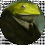 Benito Camelo