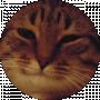 Tom Tom