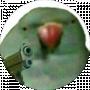 xlx ප