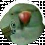 xlx ප