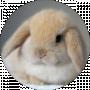 Nix Rabbit