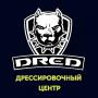 Школа для собак DRED