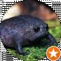 Крущук Августин