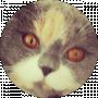 Crefish_12