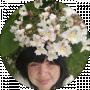 Лариса Фурсова
