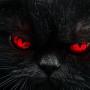 Владимир Бенедищук