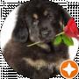 Диана Остафьева