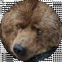 Andrew GameDesign