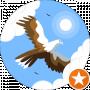American Eagle
