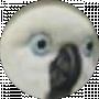 Timur Geome4k
