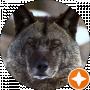 Александр Литвак