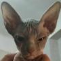 Marianna Kravchenko
