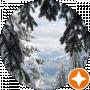 Ирина Стрелец