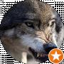 Were Wolf