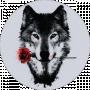 White Wolf