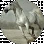 Indira