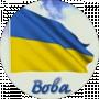 Владимир Шулика