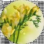 Freesia Trust