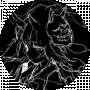 KrIpSI