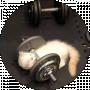 Сонька