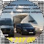 Transfer Compania Mustang