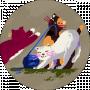 Юлия Украинец