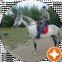 Антон Краснов