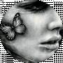 jast butterfly