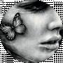 jast butterfly