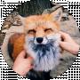 Zeb Fox