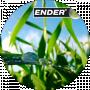 Артем Ender