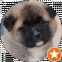 Kennel LargeHeart