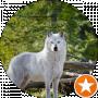 Alex White