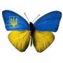Кристина Пино