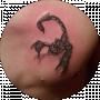 Вовка Вовка