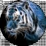 Tigra X