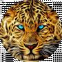 Doe_John_Doe