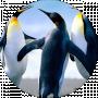 Василий Иванович