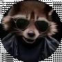 RaccooN