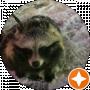 Артем Швец