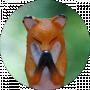 Travel Fox