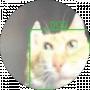 n3tsmis1a