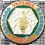 Карпатська бджола