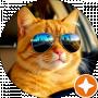 Станислав Котов