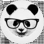 Smart Panda9